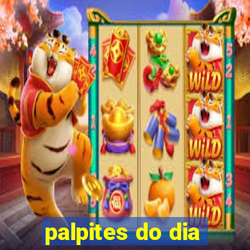 palpites do dia